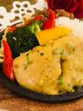 Whosayna’s Chicken Stroganoff