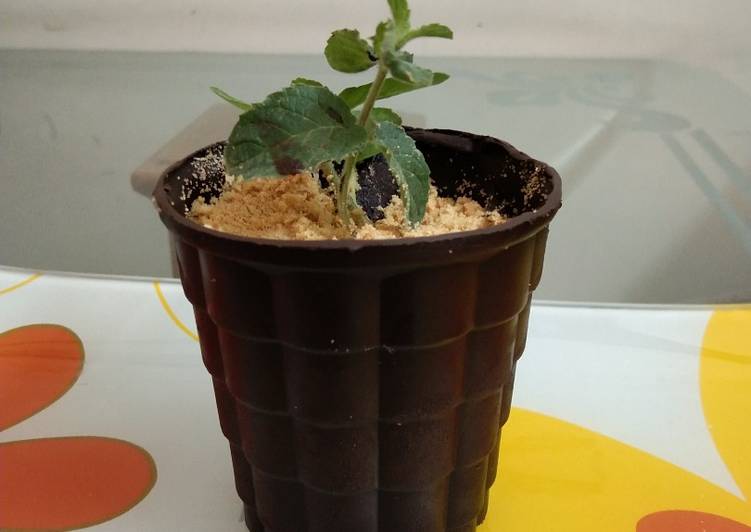 Flower pot chocolate