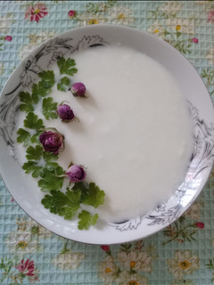 عکسی از دستور ماست خانگی⚱👌