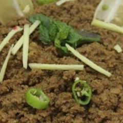 A picture of Bihari Qeema.
