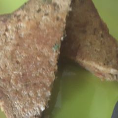 Tomato Onion Sandwich A picture of Tomato Onion Sandwich.