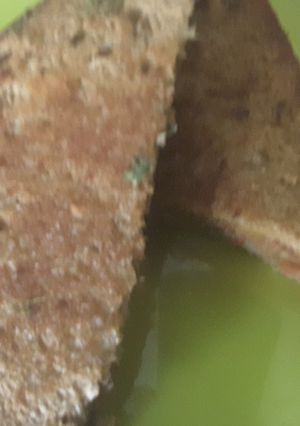 A picture of Tomato Onion Sandwich.