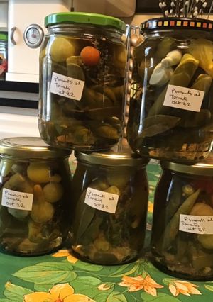 Une photo de Conserves de piments verts aux tomates, ail et herbes aromatiques