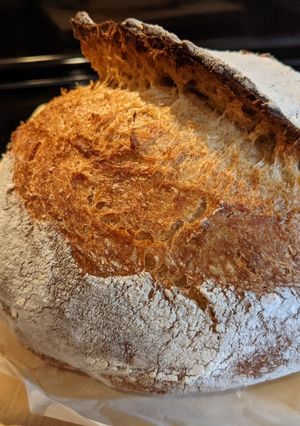 A picture of Sourdough.