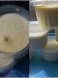Es Krim Mangga