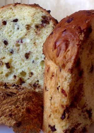 A picture of Gluten-Free Panettone.