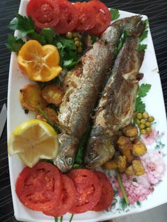 عکسی از دستور ماهی قزل