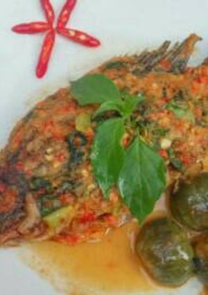 Foto resep Mujaer terong gelatik bumbu pedas