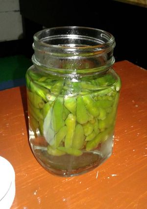 Foto resep Acar cabe rawit hijau