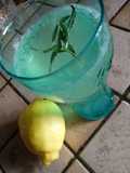 Limonade à l'estragon