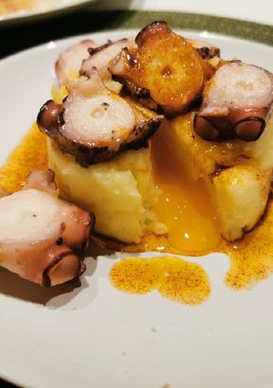 Una foto de Coulant de pulpo