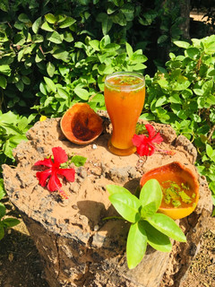 બીલી નો જયુસ (Bael Juice Recipe In Gujarati) રેસીપી મુખ્ય ફોટો