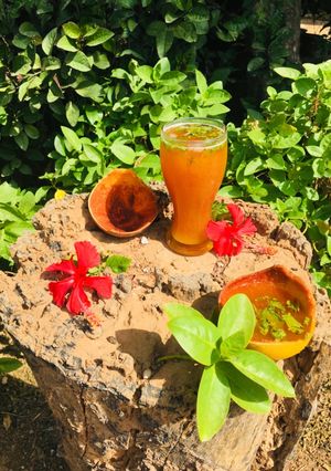 બીલી નો જયુસ (Bael Juice Recipe In Gujarati) રેસીપી મુખ્ય ફોટો