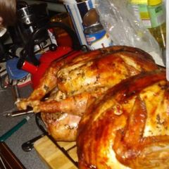 A picture of Thanksgiving Turkey.