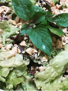 Foto de Salada de folhas com maionese de abacate com castanha de caju
