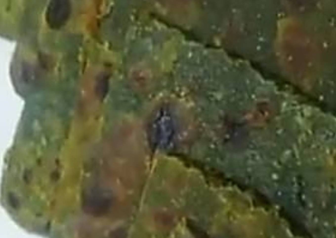 Palak Paratha Healthy Breakfast Recipe
