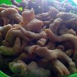 Keripik Usus