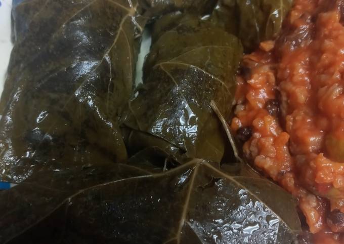 Recipe of Favorite Stuffed Grape Leaves Batch 5