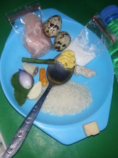 Foto resep MPASI baby 6 bulan opor ayam telur puyuh