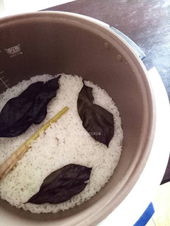 Foto resep Nasi Putih wangi