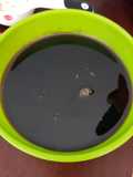 Salsa de anguila