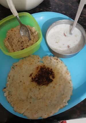 A picture of Sabudana roti.