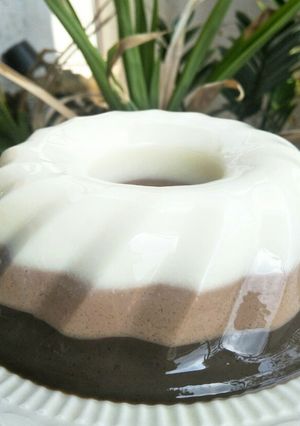 Foto resep Puding Susu Coklat