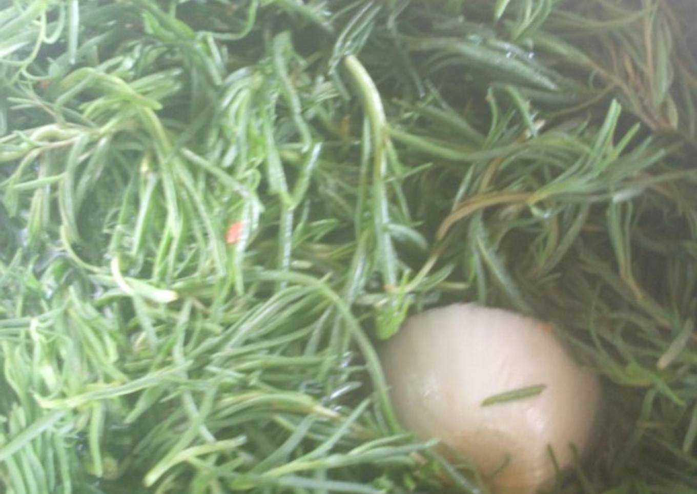 Pollo con romeritos y Camarón en mole oaxaqueño a la Mario's