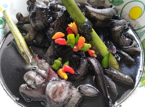Gambar Sotong Masak Hitam 🐙