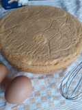 Pan di Spagna