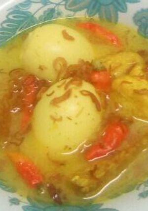 Foto resep Opor kuning T3(tempe tahu telur)