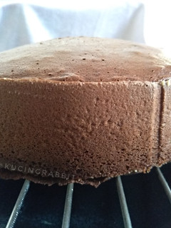 Foto resep (2.31) Base Cake 3 Telur (One-Bowl Method, no SP/BP)