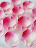 Kohakuto Recipe | Gummy Crystals | Japanese Jewel-ish Candy