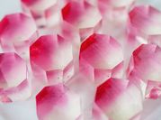 A picture of agar strawberry