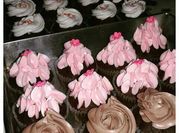 Gambar brownies cupcake