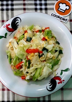 Foto resep Tumis Kol (2)