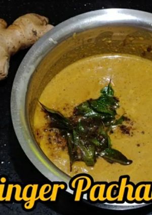 A picture of Garlic Chutney.