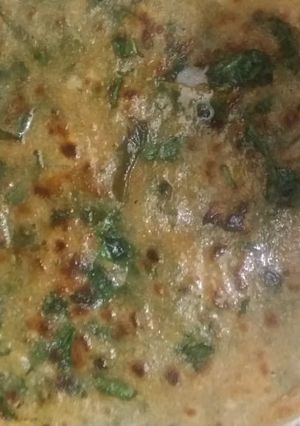 A picture of Palak paratha.