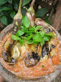Foto resep Terong bakar penyet