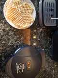 Waffles esponjosos
