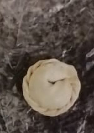 Una foto de Relleno Empanadas Veggie