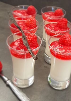 Une photo de °Panacotta à la gelée de framboise°