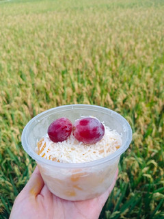 Foto resep Salad Buah Fresh by. Mama Lio