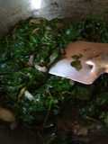 Saag