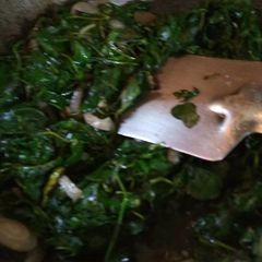 A picture of Saag.