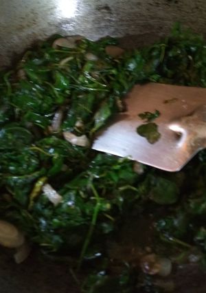A picture of Saag.