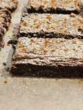 Brownie Reagan