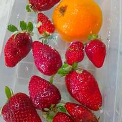 عصير كوكتال الموز والفرواولة والبرتقال🍊🍌🍓🍋-レシピのメイン写真