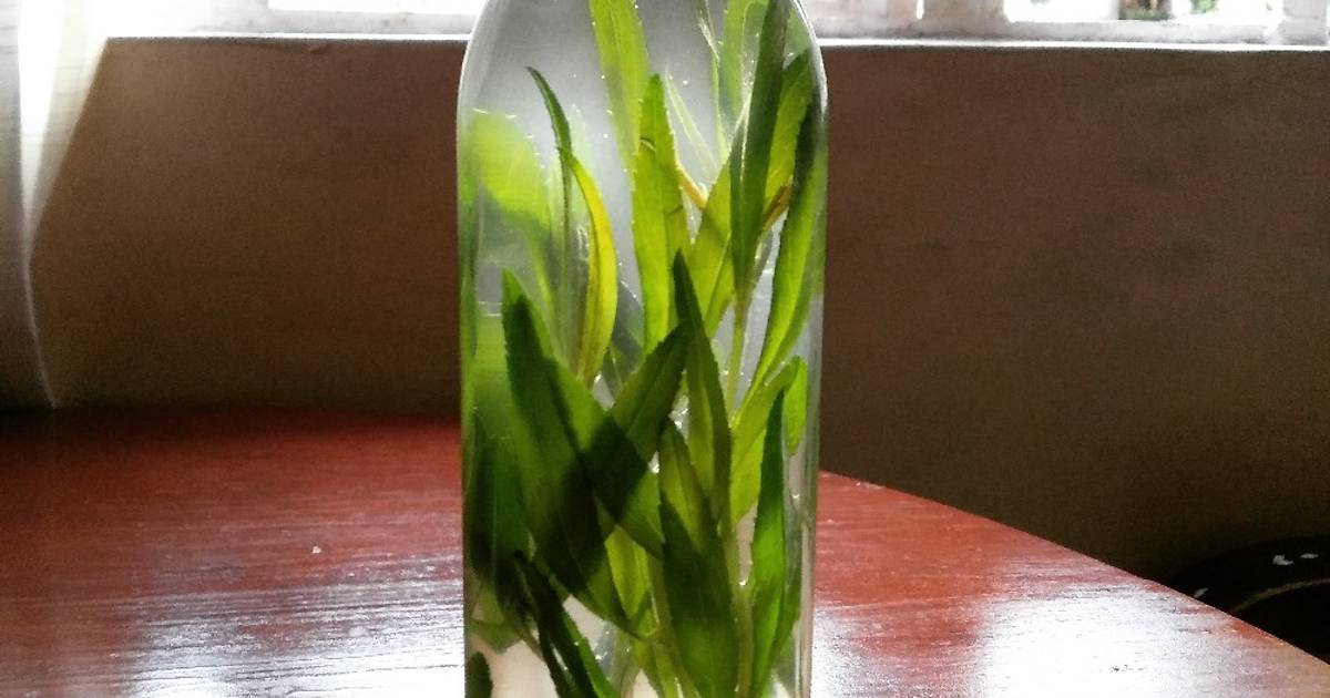 Tarragon Infused Oil Recipe by Jericho Joson Cruz Cookpad