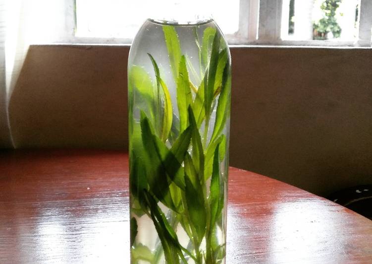 Steps to Prepare Any-night-of-the-week Tarragon Infused Oil